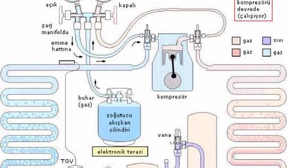 Buzdolabı nasıl çalışır? Buzdolabı parçaları nelerdir?